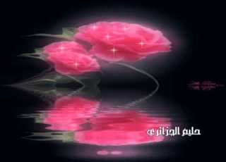 Happy Birthday To You Hala