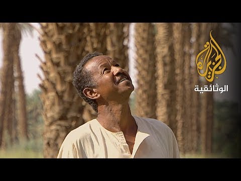 عمتكم النخلة السودان