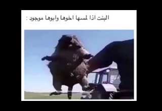 تحشيش موتو غيره يابناات اويلي مو شعر يجنن