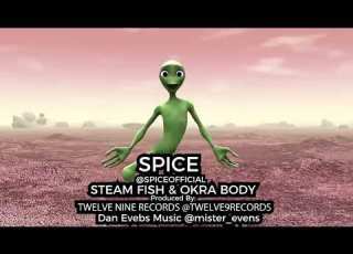 Spice STEAM FISH OKRA BODY