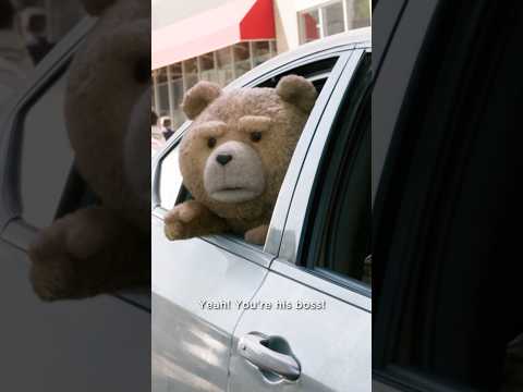 Use The Crosswalk Luke Ted 2 2015