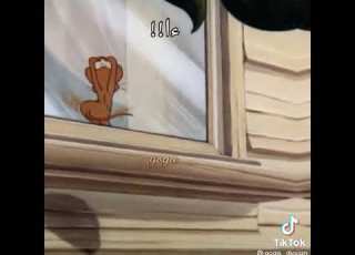  حالات واتس اب توم وجيري مهرجان غزاله يا خويا