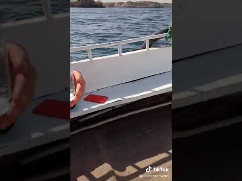 مشربتش من نيلها