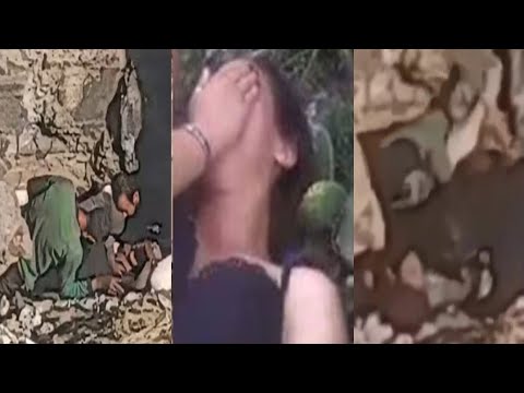 فيديو فتاة شبرا الخيمة المسرب معا ثلاثة أشخاص كامل