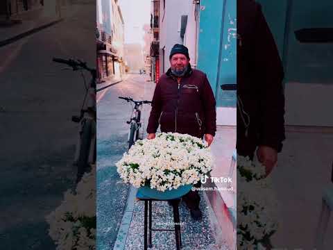 فتحلك وردات الزهر ادلب الخضراء أميرة حمص şoşo