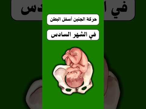حركة الجنين في الشهر السادس من الحمل Pregnant حمل اكسبلور Baby ترند جنين حركة الجنين حركة الجنين في الشهر السادس من الحمل Pregnant حمل اكسبلور Baby ترند جنين حركة الجنين