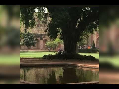 امونة عقد الجلاد عمر بانقا