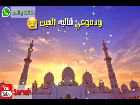 طمعان بقالي سنين