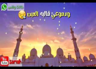  طمعان بقالي سنين