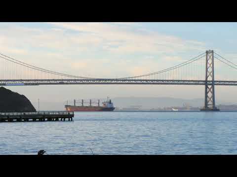 فيديو للتصميم بدون حقوق بحر وسفينة Sea And Ship بدقة عالية HD