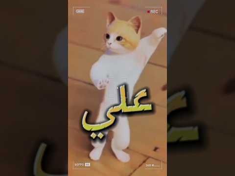 الاكتر طلبا على علي اكسبلور العراق السعودية قطر الامارات الكويت البحرين المغرب اكسبلور الجزائر