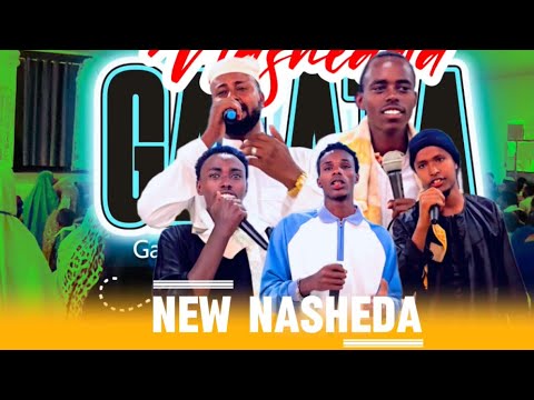 New Nashida Afaan Oromo 2026 Nashid