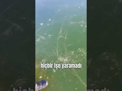 Buzlu Suyun LANETİ Shorts