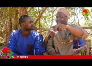  Sondons La Nature Les Bâtonnet Frotte Dents En Bambara Gɛsɛ