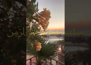  غناء ام كلثوم صالحت بيك أيامي