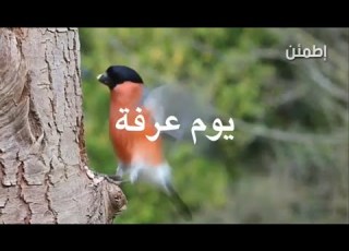 يوم عرفة فضل يوم عرفة حالات واتس دينية Quran Status