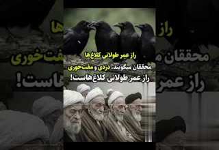 راز عمر طولانی کلاغ ها موسيقى عاشقانه Poem موسیقی Poetry Persian کلیپ پارسی داستان