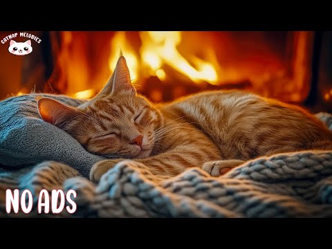 Calming Music For Cats With Anxiety Soothing Sounds For Deep Sleep Healing Insomnia Relaxing