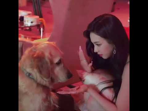 카리나가 강아지를 만나면