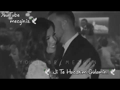 اغاني كردية شتر دبيجم حشتتكم