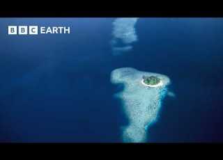  Die Geheimnisvollen Inseln Des Südpazifiks BBC Earth