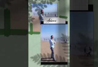 الشيخ الهامل