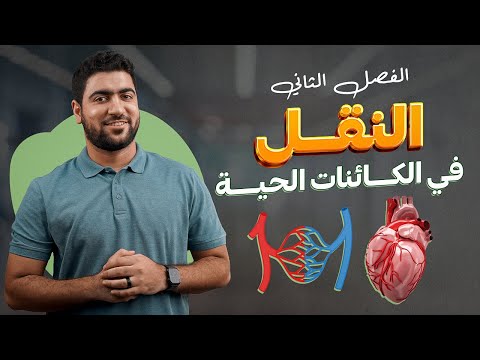النقل في الإنسان 1 القلب والأوعية الدموية تانية ثانوي أحياء النقل في الإنسان 1 القلب والأوعية الدموية تانية ثانوي أحياء