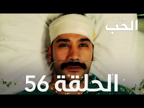مسلسل مرارة الحب الحلقة 56 مدبلجة Bir Zamanlar Çukurova