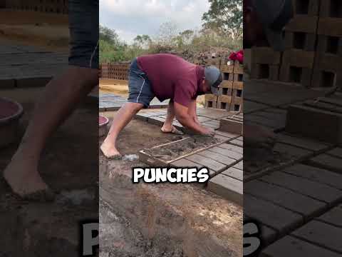 Auch 2026 Noch Relevant Alelosa2020