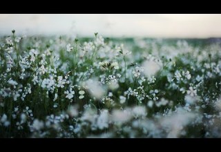 Beyond The Veil Meditation Music