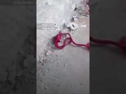 Footage Shows Execution Press Mechanism In Sednaya Prison