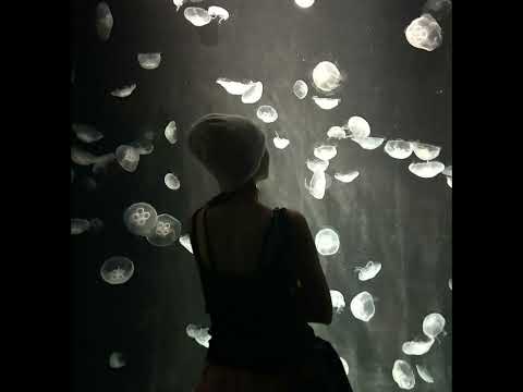 JERK 2 Jnhygs Slowed Down Reverb