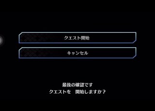 FGO The Final Battle Maris Chaldeas