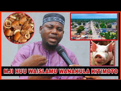 MJI HUU UPO TANZANIA HADI WAISLAMU WANAKULA NGURUWE KITIMOTO SHEIKH MBOGO AFICHUA