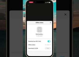 Comment Télécharger Des Vidéos TikTok Pour Les Visionner Hors Ligne