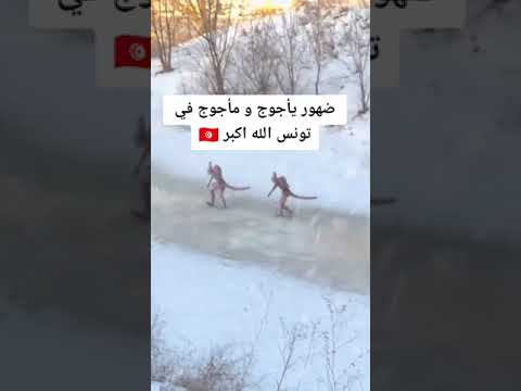 ظهور يأجوج ومأجوج في تونس