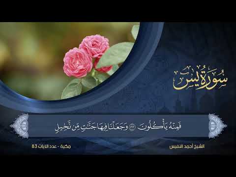 36 سورة يس الشيخ أحمد النفيس