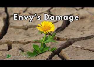  A Quiet Reflection On Envy Calm Piano Nature