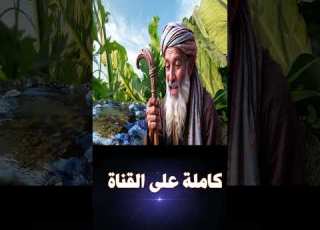  قصة العجوز والقرد العجيب الذي أخفى سر ا لا ي صد ق قصص مسموعة للمكفوفين