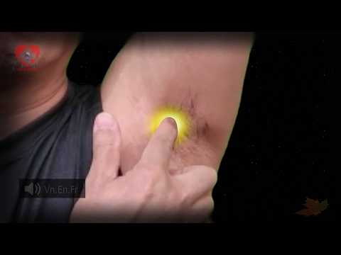 HT1 Extreme Spring Quick Acupoint Locator VIKUDO