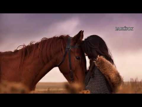 Hozan Dîno Emir Kuda Çû Türkçe Çeviri