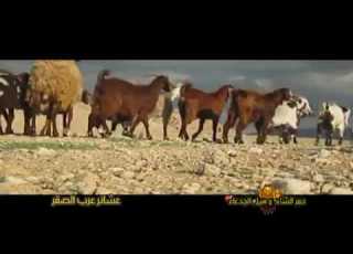 عشائر عرب الصقر بيسان