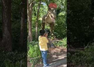 Dino Safari