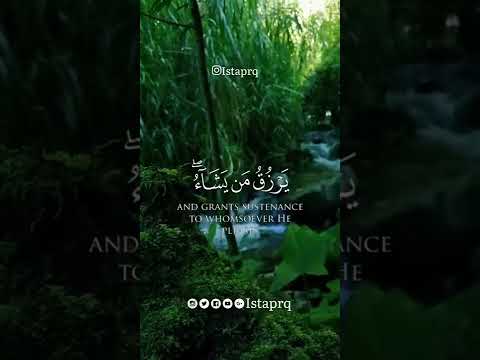 الله لطيف بعباده يرزق من يشاء وهو القوي العزيز سورة الشورى الشيخ علي جابر