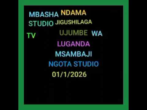 NDAMA JIGUSHILAGA LUGANDA MPANDA LWENGE STUDIO MSAMBAZAJI NGOTA STUDIO 01 1 2026