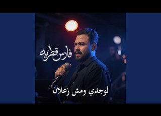 لوحدى ومش زعلان