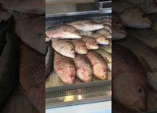 لمحبي السمك الطازج