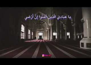 حالات واتس اب عبد الباسط عبد الصمد كل نفس ذائقة الموت