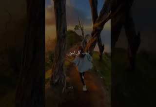 تبقى أغلى الحبايب مهما تبعد يا غايب انت كل الهوى نوال الزغبي أغلى الحبايب