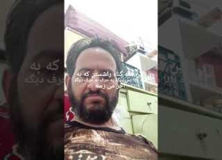  Music شلتنا ترانه سرای معین